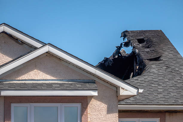 Top rated local Soot Cleanup specialists in Fort Myer, VA